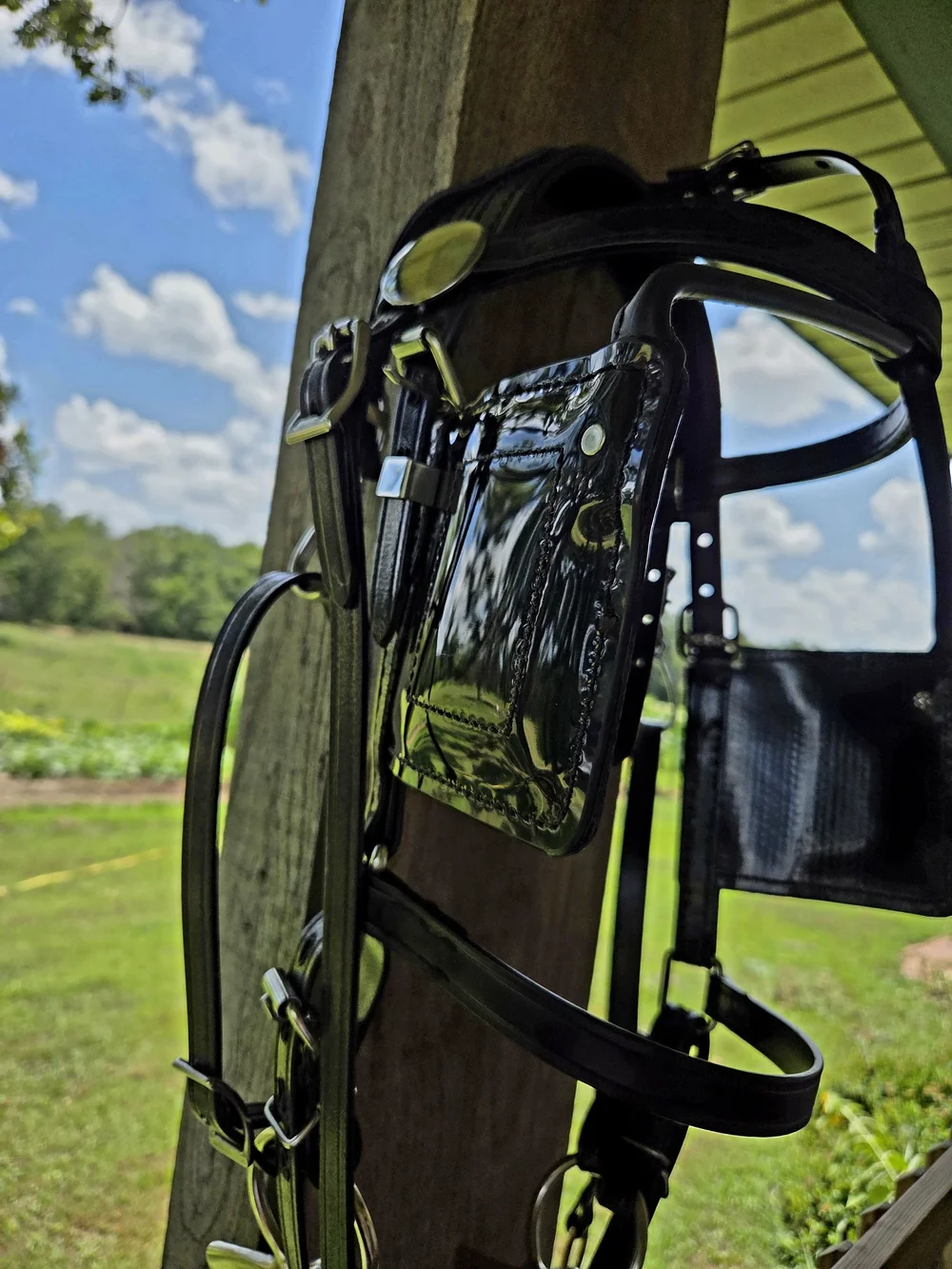 Amish Made Driving Bridle Brahma Webb/Biotane Full Horse w/bit exceptional